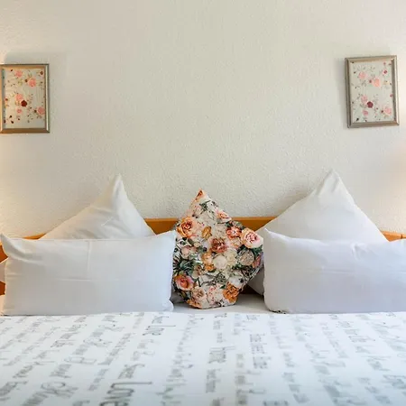Kraeuterhotel Vontenie 2*