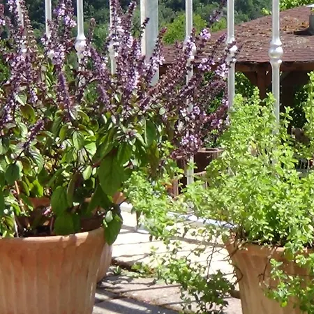 Kraeuterhotel Vontenie Kordel