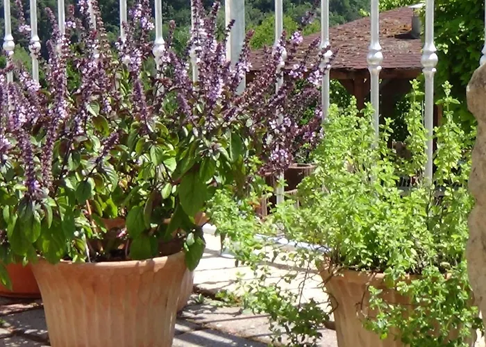 Kraeuterhotel Vontenie Kordel