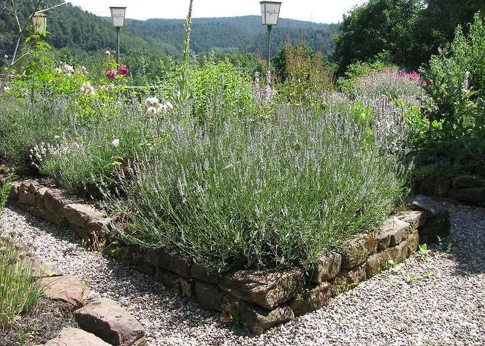 Kraeuterhotel Vontenie Hotel Kordel