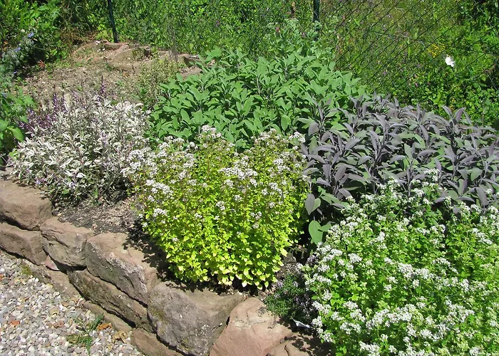 Hotel Kraeuterhotel Vontenie